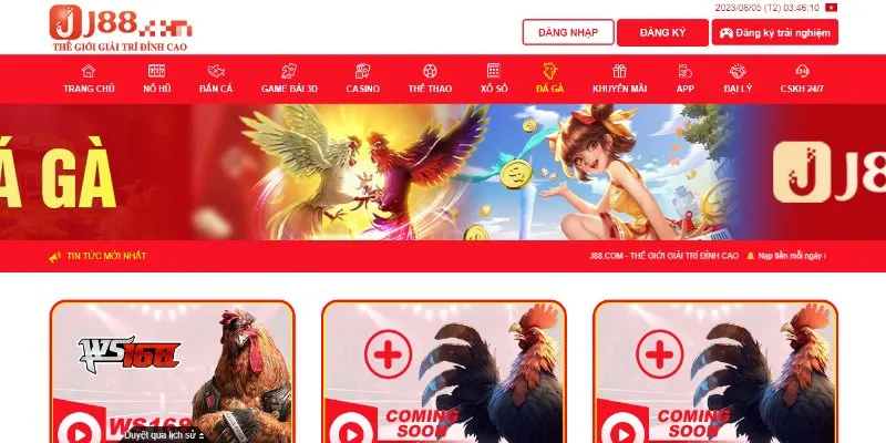 Hướng Dẫn Cách Chơi Trên J88 Cho Người Chơi Mới Đơn giản